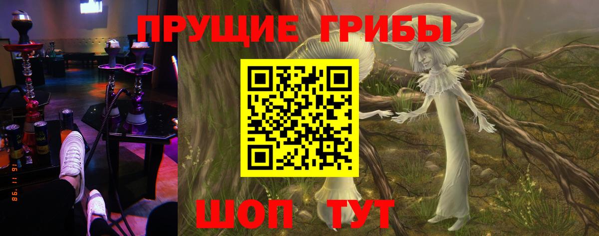 Галлюциногенные грибы Cubensis  Вход с VPN  Верхняя Салда 